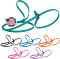Dogline Biothane Slip Dog Leash - for Small, Medium and Large Dogs - Odor Free Slip Lead, Heavy Duty and Durable Material Kennel Lead - Blue Aqua - 5ft L x 3/8in W