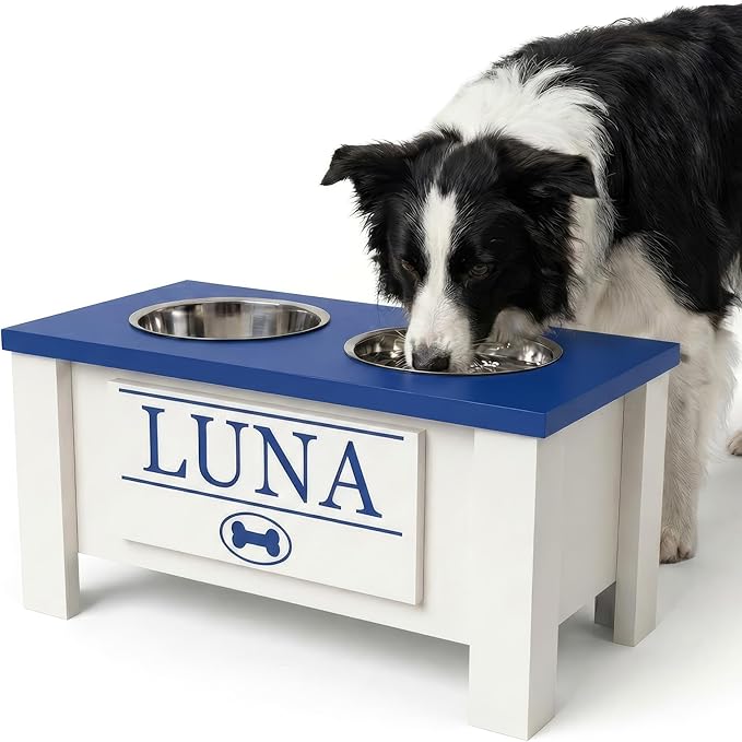 GTW Personalized Elevated Dog Bowl Stand for Large, Medium, Small, X-Small Dogs - Stainless Steel Food and Water Bowls - Raised Dog Dish with Internal Storage (Medium, Blue)