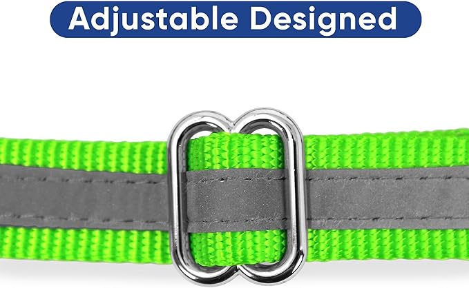 Pawtitas Martingale Dog Collar with Chain a Reflective Dog Training Collar for Large Dogs | Nylon No Pull Dog Collar for Large Dog - Green