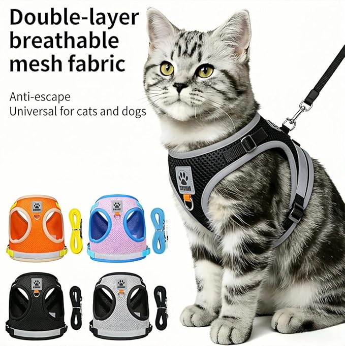 Dog Harness and Leash Set-No Pull No Choke Step-in Pet Harness for All Weather Lightweight Adjustable Cat Harness Breathable Soft Mesh Puppy Vest with Hook & Loop Fastener Buckles D-Rings-Black-L