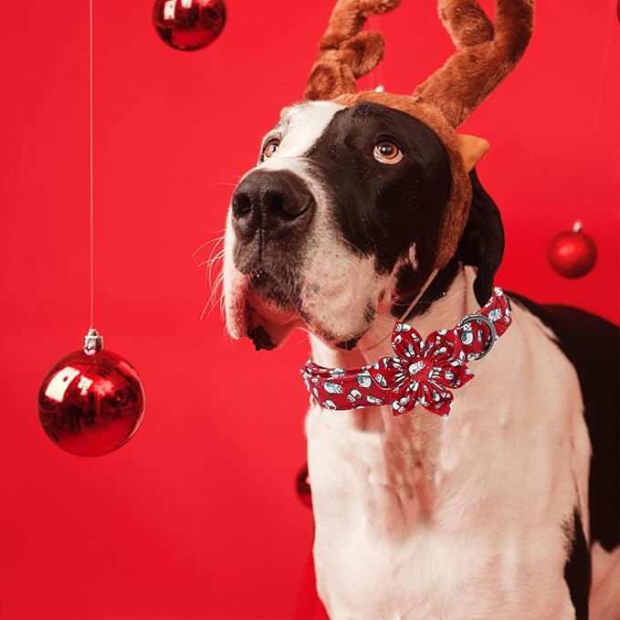 Elegant Little Tail Dog Collar with Flower, Christmas Dog Collar for Large Dogs