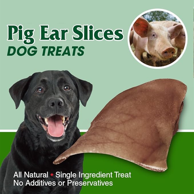 Best Pet Supplies GigaBite Roasted Pig Ears for Dogs - Natural Dog Chews, Roasted Pigs Ears, Safe for Puppies and Aggressive Chewers, Cleans Teeth and Gums - Half-Cut, Pack of 40