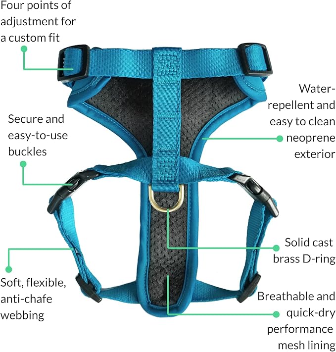 DJANGO Adventure Dog Harness - Stylish & Durable Small Dog Harness for Outdoor Adventures and Everyday Wear - Pacific Blue Neoprene Adjustable Harness for Dogs with Reflective Piping, Brass D-Ring