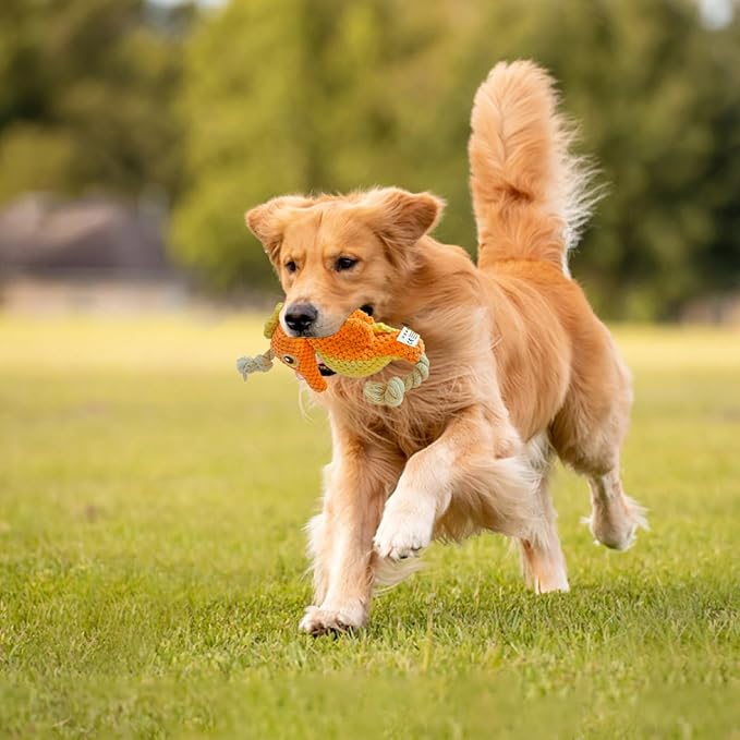 Cute Marine Animal Dog Squeaker Chew Toys, Interactive Stuffed Cotton Plush Rope Knot Toys with Crinkle Paper- for Puppy, Small, Middle Dogs (Orange Seahorse)