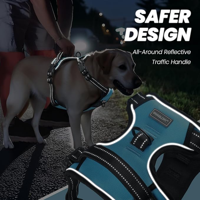 VIVAGLORY Dog Harness Easewalk No Pull Dog Harness with Handle Front Clip & Back Clip for Training Walking Lifting, No Pull Adjustable Easy On Padded Comfortable for Pet, L, Sky Blue - Plain