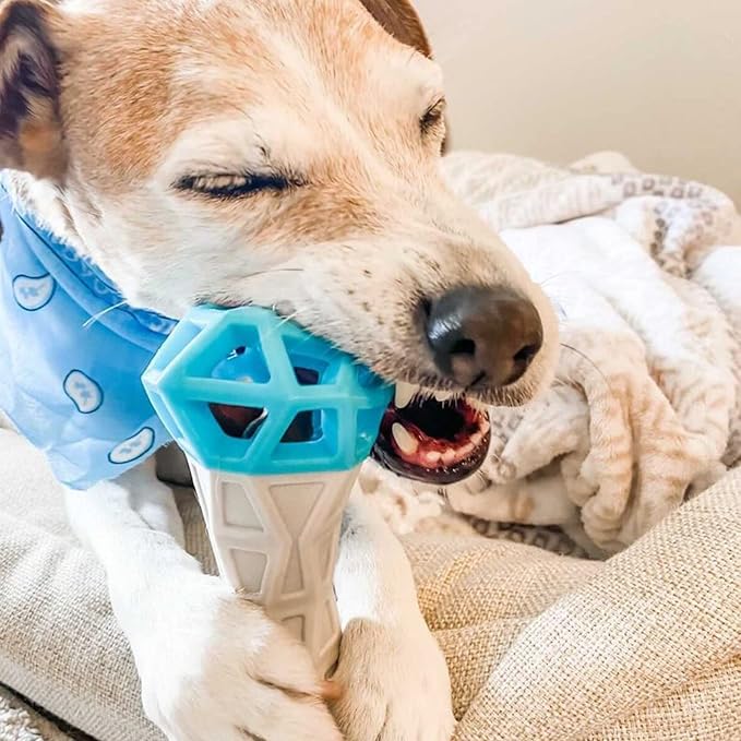 Messy Mutts Totally Pooched Flex n' Squeak Dumbbell | 7” Foam Rubber Dog Toy with Squeaker | Made for Tough Chewers | Interactive Treat Puzzle for Dogs | Grey/Teal