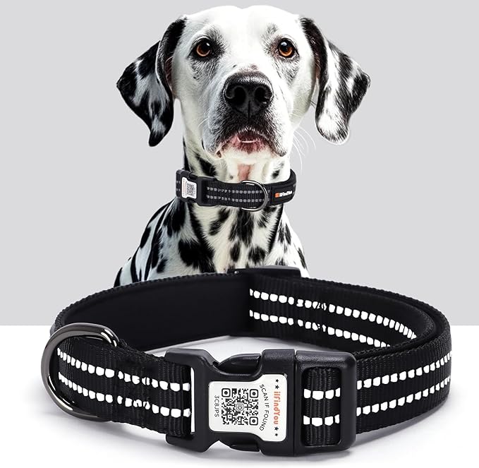 Reflective Dog Collar with QR Code Tag, Personalized Dog Collar, Safety Night Visibility, Anti-Loss Function (Black, Large)