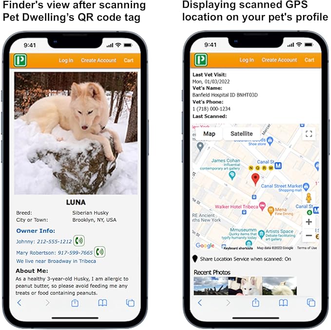Pet Dwelling Premium NFC & QR Code Smart ID Tag for Dogs - Easy Scanning, Instant Profile Access, Real-Time Location Alerts(Southern Peach Paw)