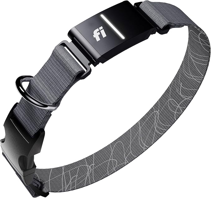 New Fi Series 3+ Smart Dog Tracker Collar [12 Month Membership Included] GPS Tracker for Dogs with Health & Behavior Monitoring, Escape Alerts, Waterproof, LED, Apple Watch Compatible (Gray, X-Small)