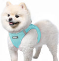 rabbitgoo Small Dog Harness, Step-in Soft Mesh Puppy Vest with Safety Buckle, Breathable Reflective Pet Harness for Small Sized Dogs, Mint Blue S
