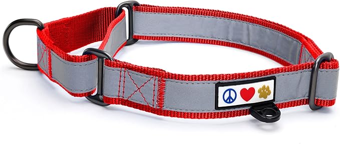 Pawtitas Red Reflective Martingale Dog Collar, Medium