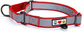 Pawtitas Red Reflective Martingale Dog Collar, Medium