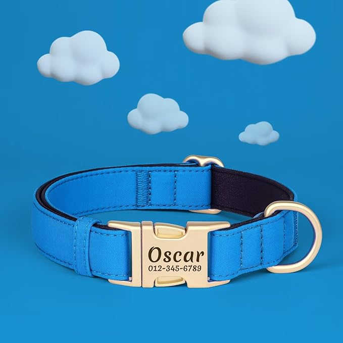 PET ARTIST Colorful Personalized Dog Collars, Custom Dog Collar with Silent Engraved ID Tag, Lightweight Breathable Nylon & Soft Padded, Matching Leash & Poop Bag for Large Dogs,Blue,L Fit 15-23"