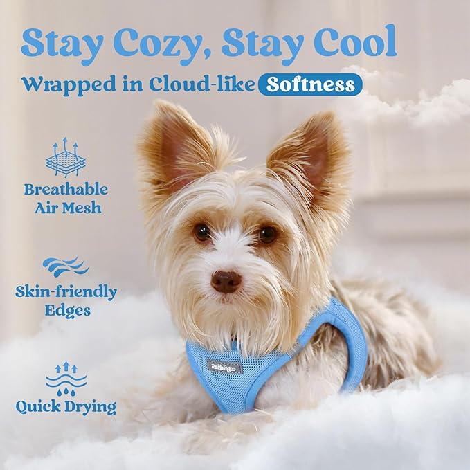 rabbitgoo Small Dog Harness, Step-in Soft Mesh Puppy Vest with Safety Buckle, Breathable Reflective Pet Harness for Small Medium Dogs, Blue XL