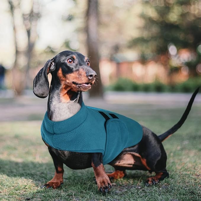 Queenmore Large Dog Sweaters, Soft Fleece Vest Pullover Dog Jacket with Leash Hole, Warm Winter Dog Clothes Cold Weather Doggy Dachshund Sweater for Large Dogs Cats Boy or Girl (Peacock-Blue, L)