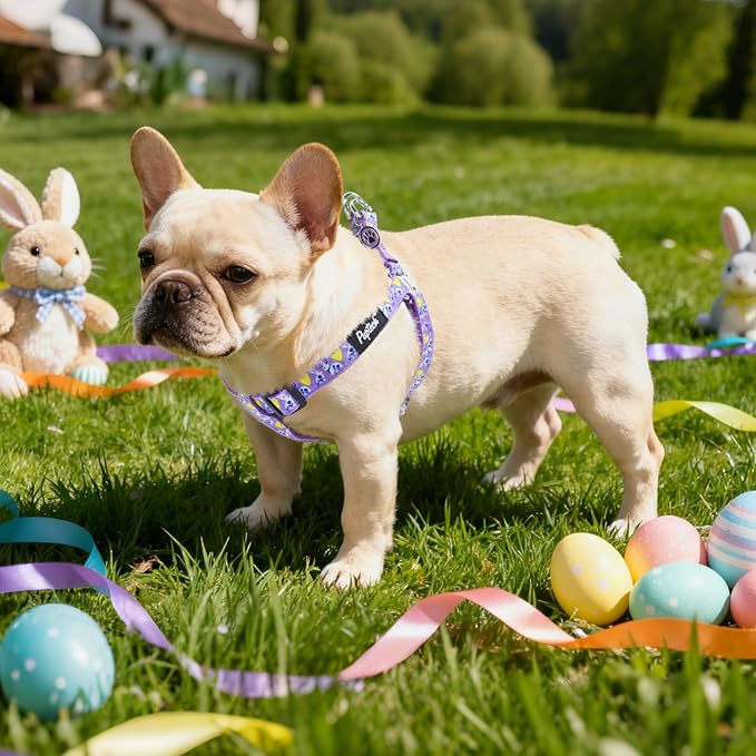 PUPTECK No Pull Easter Dog Harness Soft Adjustable Basic Nylon Step in Puppy Vest Outdoor Walking with ID Tag, Light Purple M