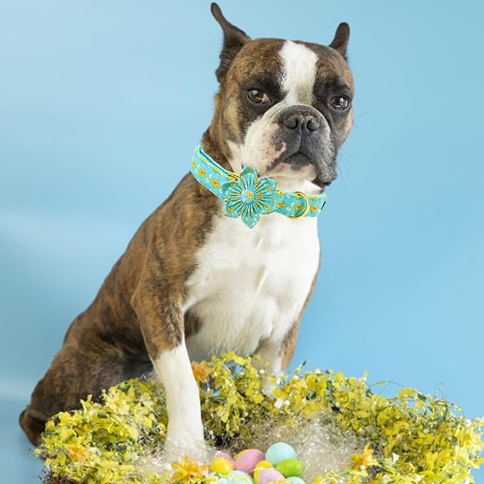 Elegant little tail Easter Dog Collar, Chicken Eggs Dog Collar with Flower Blue Boy Girl Pet Gift Puppy Flowers Adjustable Pet Collars for Small Dogs