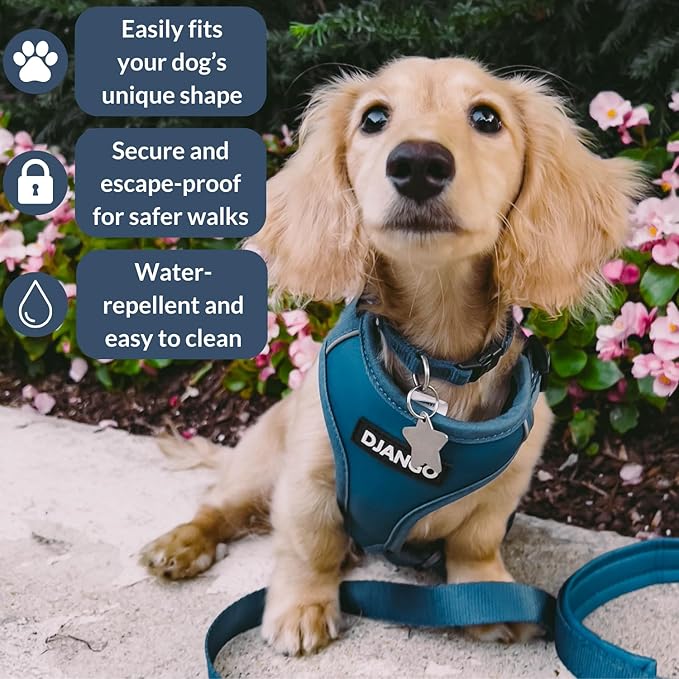 DJANGO Adventure Dog Harness - Stylish and Durable Large Dog Harness for Outdoor Adventures and Everyday Wear - Indigo Blue Neoprene Adjustable Harness for Dogs with Reflective Piping & Brass D-Ring