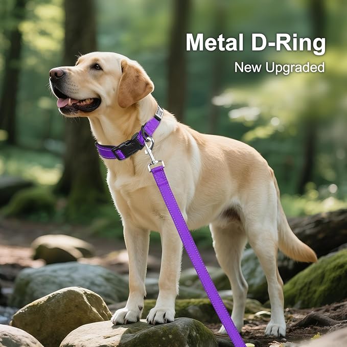 Joytale Personalized Dog Collars with Engraved Name Plate, Silent No Jingle Custom Nylon Collar with Fixed ID Tag, Reflective Soft Neoprene Padded Breathable for for Large Dogs, Purple