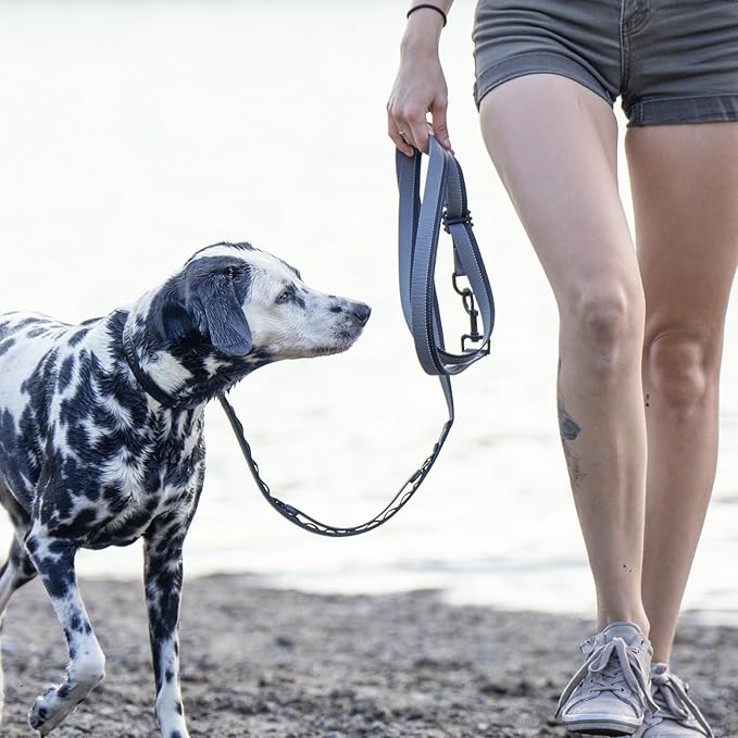 Hands Free Dog Leash - Waist or Shoulder Leash for Walking and Hiking with Medium and Large Dogs, Adjustable 4 to 6 FT Outdoor Bungee Lead with Traffic Handle by Nuvuq (18-120 lbs, Black)