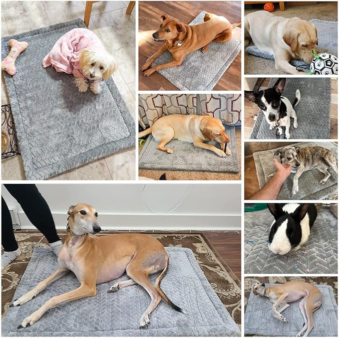BEAUTYZOO Dog Bed Crate Mat Washable, Dog Kennel Pad for Small Dogs, Anti-Slip Soft Fluffy Puppy Sleeping Mattress for Cages, Durable Cozy Pet Travel Car Bed 24 x 18 Inch, Gray Wheat