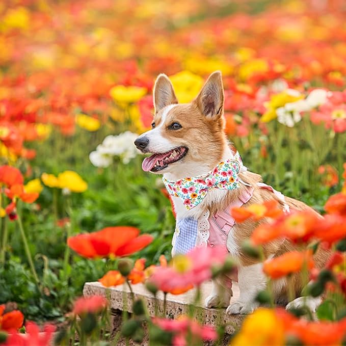 Elegant little tail Dog Collar- Cute Floral Dog Collar with Bow for Small Dogs, Female Adjustable Cotton Summer Pet Bow Holiday Puppy Collar for Small Medium Large Dogs