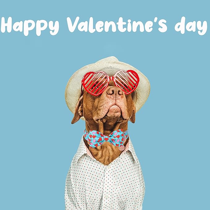 DOGWONG Valentine Dog Collar with Bow, Blue Heart Dog Collar Durable Soft Cotton Pet Dog Collar Cute Heart Valentines Day Puppy Necklace for Small Medium Large Dog