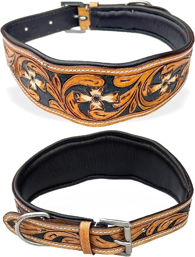 Majestic Ally Leather Dog Collar with Adjustable, Padded Fit for Walking, Hiking, and Running, Designer Western Wear for Puppies, Fancy Colors (Black - Natural, Medium)