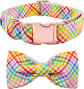 Lionet Paws Easter Dog Collar with Bowtie - Colorful Cute Cotton Bowtie Dog Collar with Metal Buckle for Medium Dog Girl Boy, M, Neck 13.5-22in