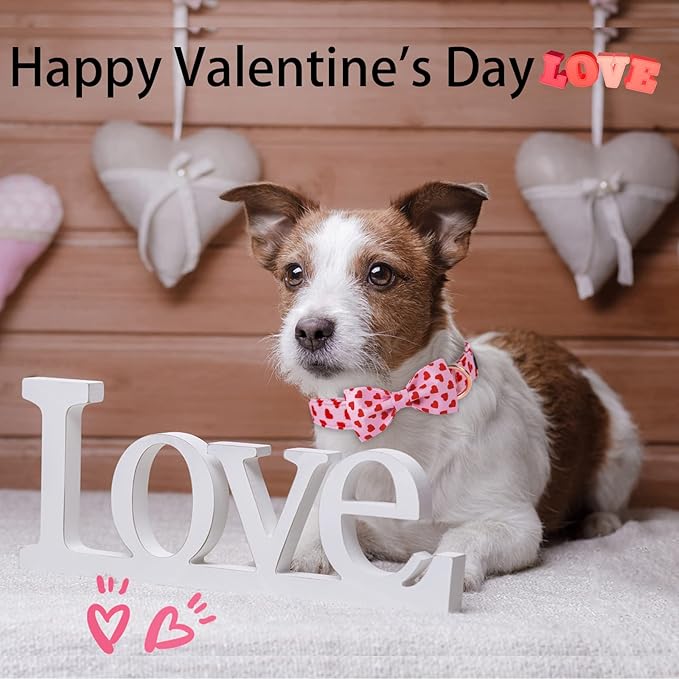 ARING PET Valentine's Day Dog Collar with Bow, Cute Adjustable Pink Heart Bowtie Pet Collars with Metal Buckle for Puppy Small Medium Large Boy Girl Dogs-L