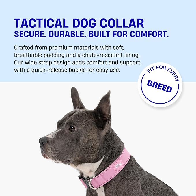 DF Co. Tactical Dog Collar | Comfortable & Secure with Quick Release Clip Buckle and Heavy Duty D-Ring | Soft Padded Neoprene, Chafe Resistant, Night-Time Visibility | Black, Size M