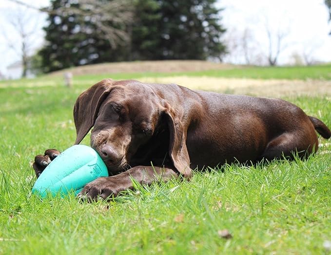 Chew King by Mammoth Premium Treat Dispensing Dog Toy, Durable Natural Rubber Chew Toy, Safety Air Vent, Interactive Enrichment Toy for Aggressive Chewers, XL Pack of 2- Teal