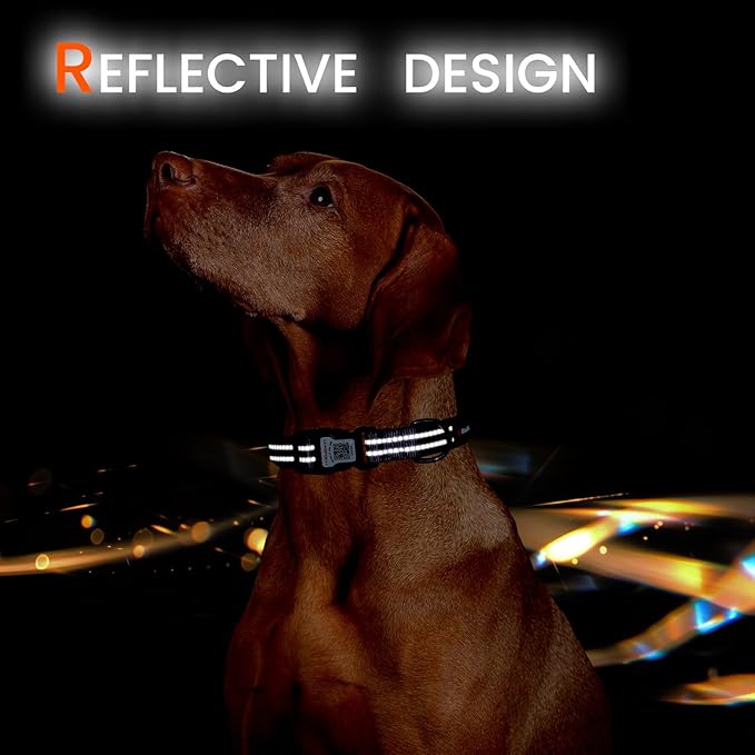 Reflective Dog Collar with QR Code Tag, Personalized Dog Collar, Safety Night Visibility, Anti-Loss Function (Purple, Small)