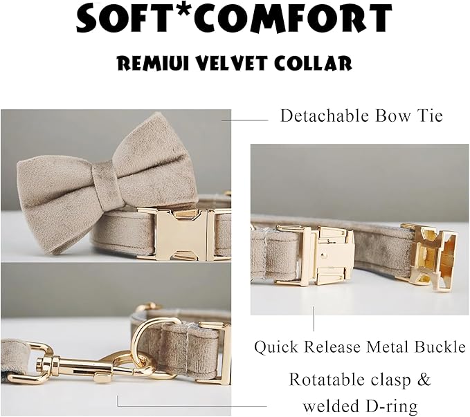 Personalized Velvet Dog Collar with Name & Phone Custom Dog Collar Personalized Name and Phone Number, Custom Collar Leash for Dogs, Engraved Metal Buckle Collar (Style- D)