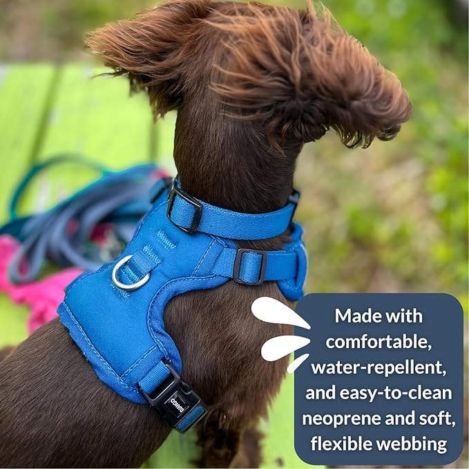 DJANGO Tahoe No Pull Dog Harness – Escape-Proof Dog Harness for Medium & Large Dogs with Front & Back Clips for Everyday Use – Adjustable, Padded, Reflective, Secure, Easy On/Off – Alpine Blue, Large