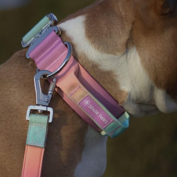 Spark Paws Tactical Dog Collar with Handle - Premium Quality Collar, Robust and Durable Design for Large, Strong Breeds - Pitbulls, Labradors, GSD - Pastel Icing - M - 1.5"