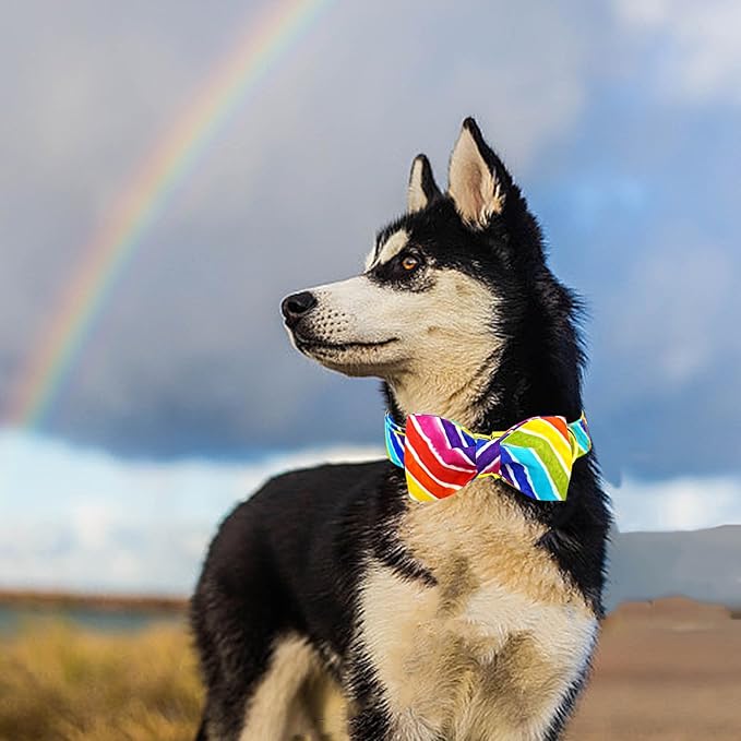 Lionheart glory Rainbow Dog Collar with Bowtie Colorful Summer Dog Bow Collars Heavy Duty Adjustable Pride Collars for Small Dogs Pet Gift Holiday