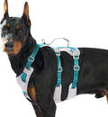 Huntboo Reflective Dog Harness with Handle, Escape Proof, No Slip, Breathable, Lightweight, Adjustable Lift Harness for Small, Medium, and Large Dogs Walking, Training, and Running Gear(Teal Blue,L)