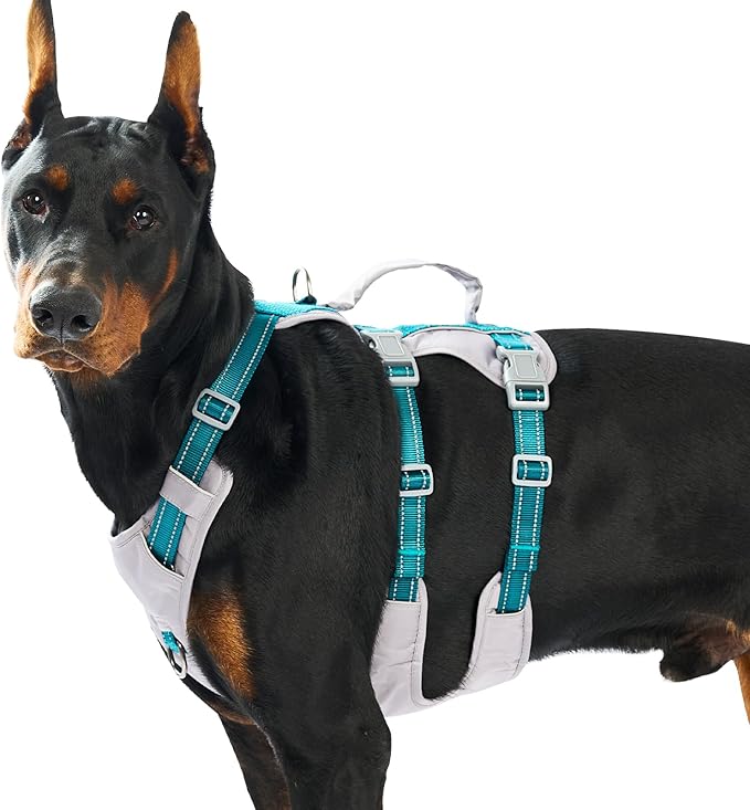 Huntboo Reflective Dog Harness with Handle, Escape Proof, No Slip, Breathable, Lightweight, Adjustable Lift Harness for Small, Medium, and Large Dogs Walking, Training, and Running Gear(Teal Blue,XL)