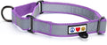 Pawtitas Personalized Dog Collar Martingale Dog Collar with Name Phone Number Reflective Martingale Dog Collar Customized Collar for Large Dogs | Orchid Custom Dog Collars for Large Dogs
