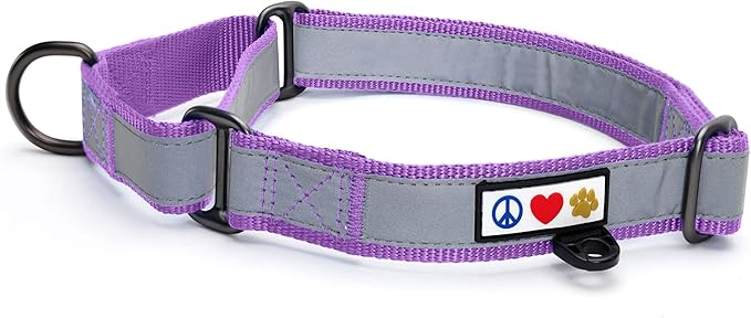 Pawtitas Personalized Dog Collar Martingale Dog Collar with Name Phone Number Reflective Martingale Dog Collar Customized Collar for Large Dogs | Orchid Custom Dog Collars for Large Dogs