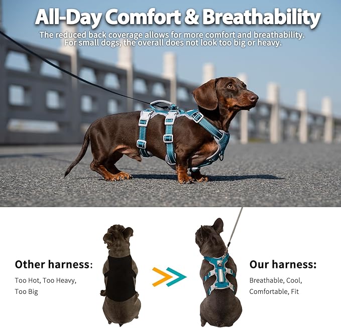 Huntboo Escape Proof Dog Harness, No Pull Reflective Harness with Lift Handle, Adjustable Pet Vest with Front and Back Leash Clips for Small Medium Large Dogs Walking Hiking Training (Teal,L)