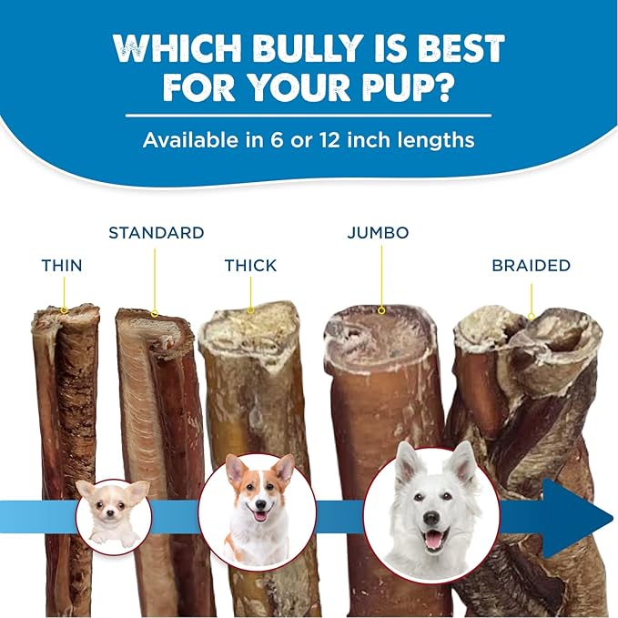 Best Bully Sticks Natural Jumbo Bully Sticks for Large Dogs - 12 Inch, 8 Count (Pack of 1) - 100% Free-Range Grass-Fed Beef, Single-Ingredient, Grain and Rawhide Free Long Lasting Dog Chews