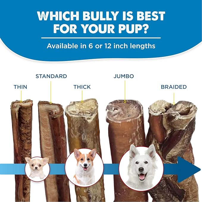 Best Bully Sticks 6 Inch Jumbo Bully Sticks - 25 Count (Pack of 1) - Natural Grass-Fed Beef, Single Ingredient, Grain and Rawhide Free, Ideal for Large Canines