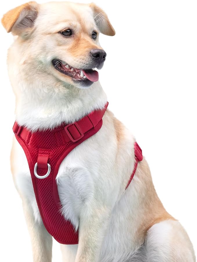 No Pull Dog Harness for Small Medium Large Dogs - Adjustable 2 Layer Mesh Dog Vest with Dual Clip, Escape Proof, Quick Release, Lightweight Breathable Mesh for Walking Hiking (Burgundy Red,L)