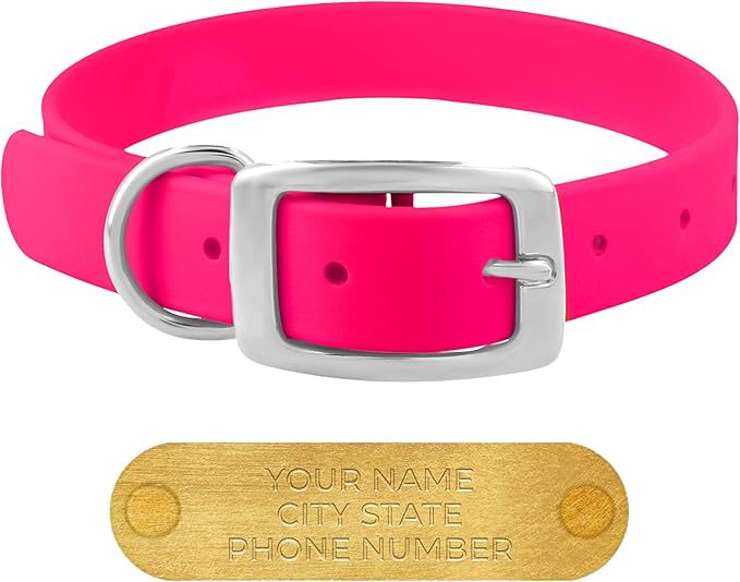 Regal Dog Products Small Pink Waterproof Dog Collars with Custom Engraved Name Plate | Vinyl Coated, Anti, Easy to Clean Personalized Biothane Dog Collar - Other Sizes for Medium & Large Dogs