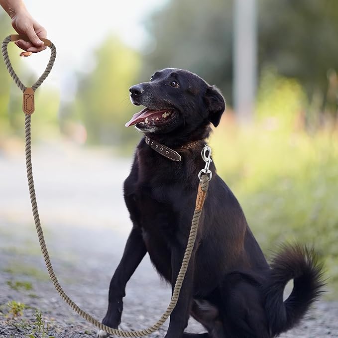 Mile High Life Dog Leash, Braided Cotton Rope Leashes with Leather Handle - Heavy Duty Metal Clasp, 6FT, 1/2" Thick - Wedding, Walking & Training Leash for Small Medium Large Dogs (Camel)