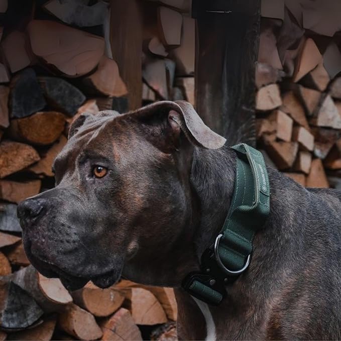 Spark Paws Tactical Dog Collar - Heavy Duty, Premium Quality, Thick and Durable for Large and Medium Dogs - Solid Green - M