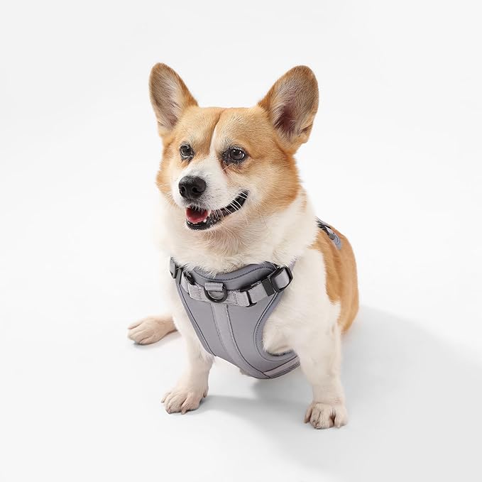 HNS1002N Arlo Medium Adjustable Soft Padded No Pull Pet Harness with 3 Buckles and 3 Leash Clips, Martini