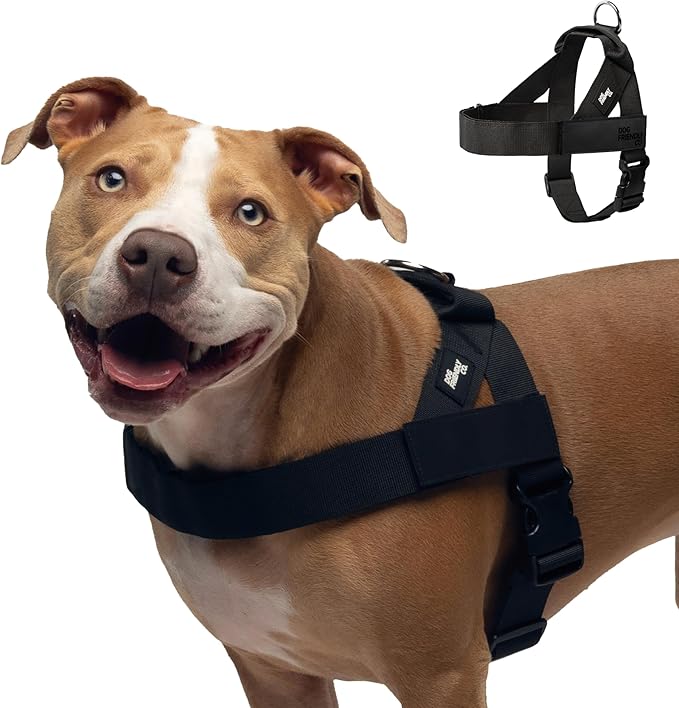 DF Co. Dog Harness | Chafe Resistant Webbing, Adjustable Neck & Chest, and Heavy Duty D-Ring | Sturdy, Comfortable, Easy to Use | Black, Size XL